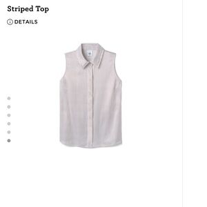 CAbi Silky Plum and White Striped Top